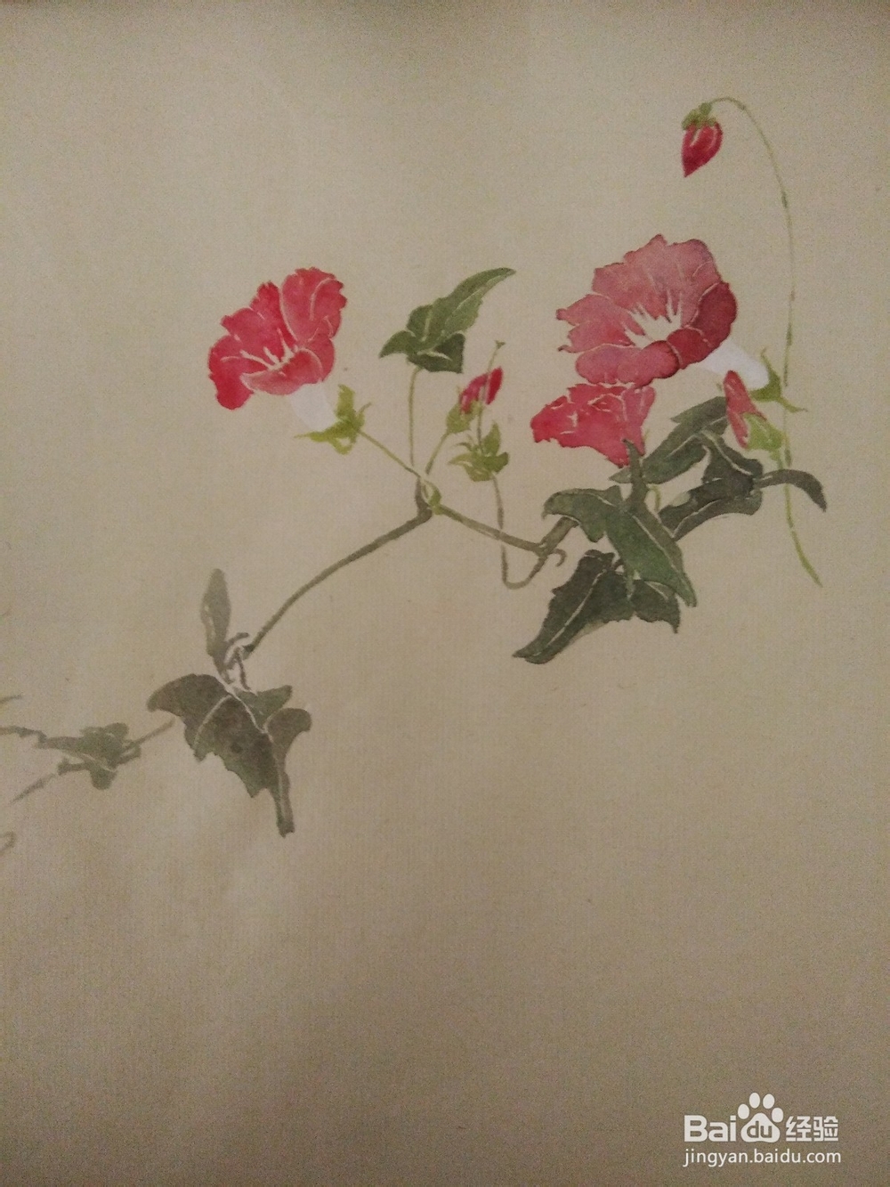 如何用没骨法画缠枝牡丹