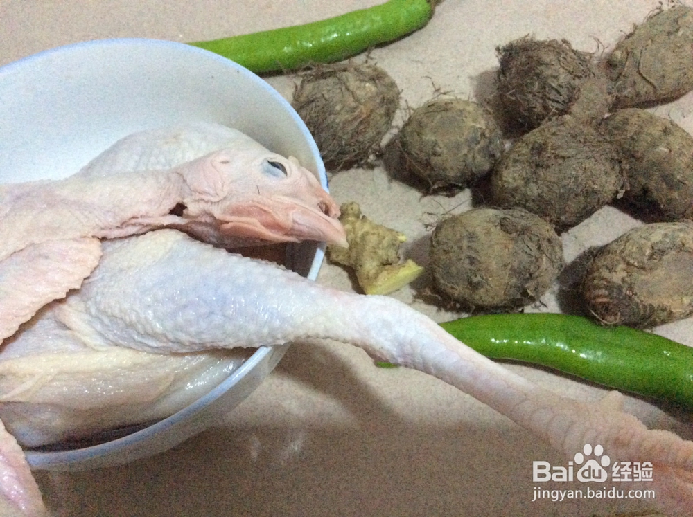 国庆节吃什么_芋儿鸡