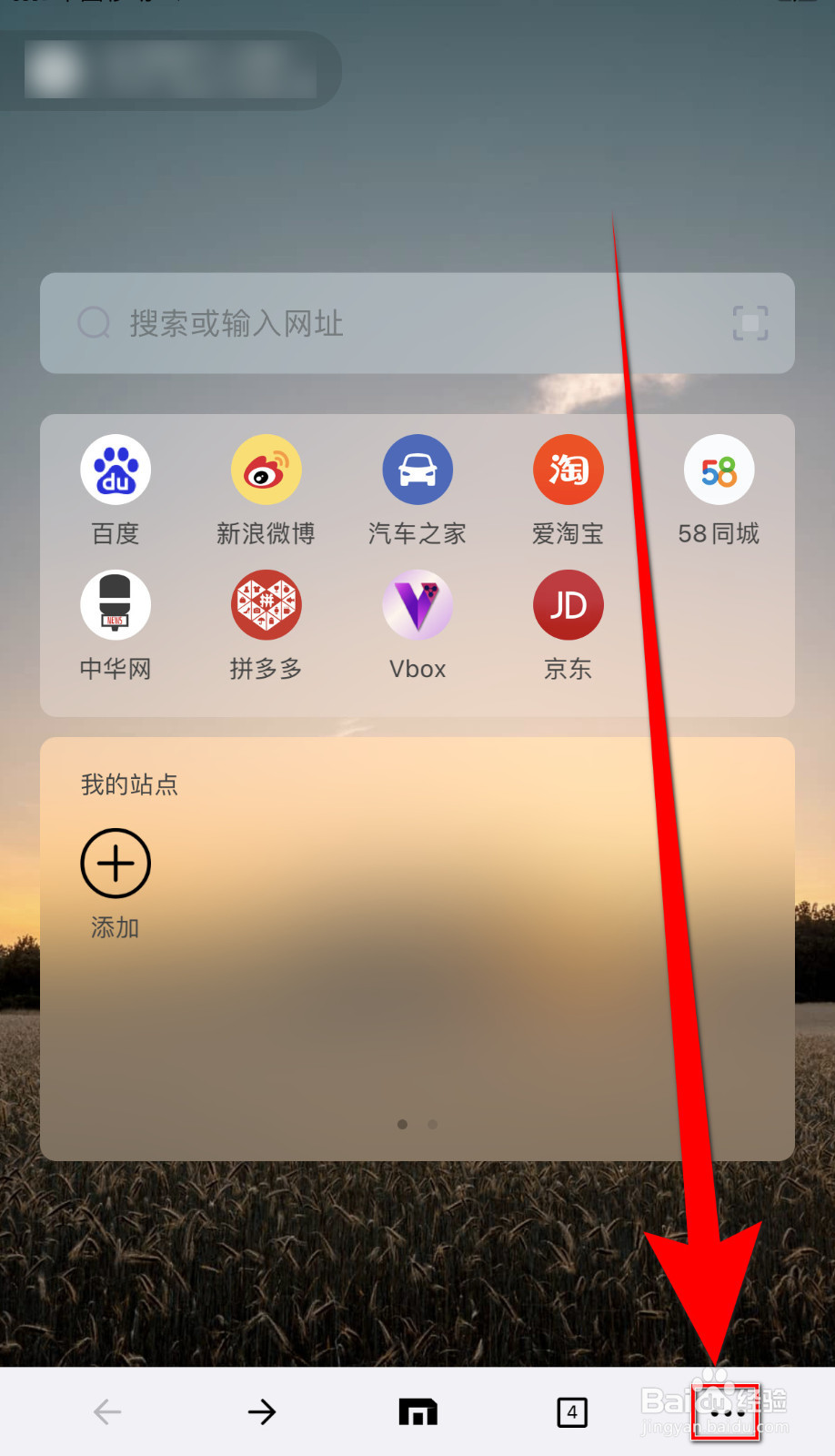 怎样设置遨游浏览器接受Cookie启用