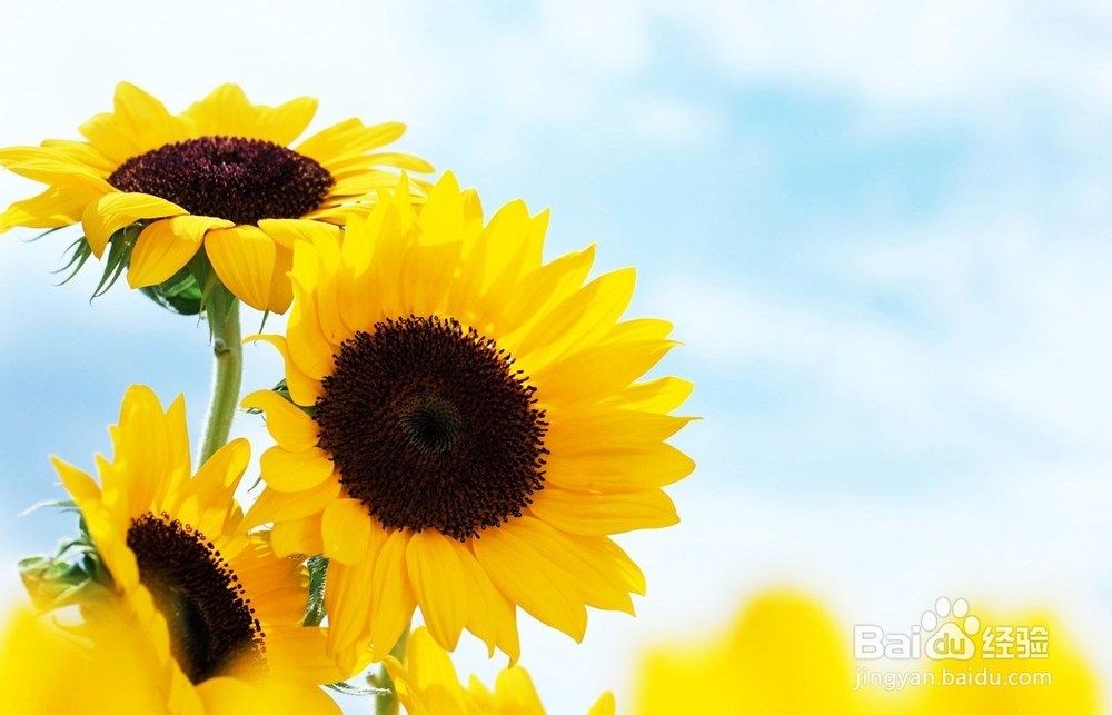 怎样抛开消极心态