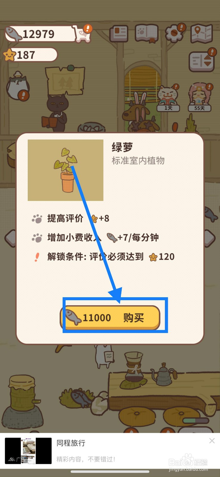 动物餐厅如何购买餐厅绿萝