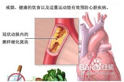 了解吸烟的危害看看怎样远离吸烟