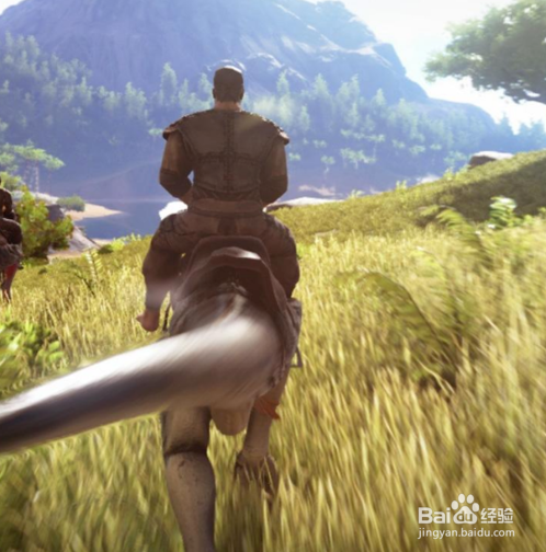 方舟飞龙怎么训？