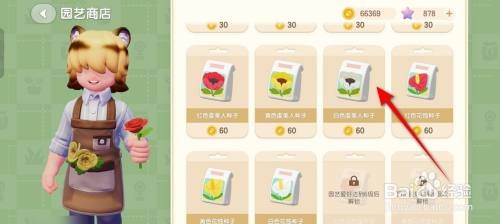心动小镇白色虞美人种子获得的方法