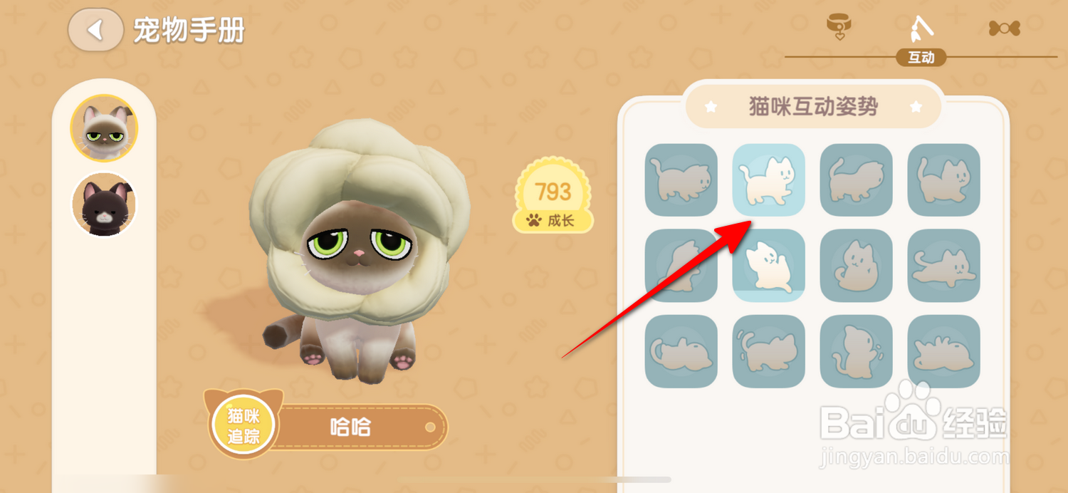 心动小镇怎么查看猫咪解锁的动作