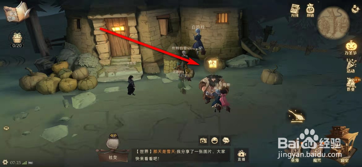 哈利波特魔法觉醒11.8看看我的南瓜拼图在哪里
