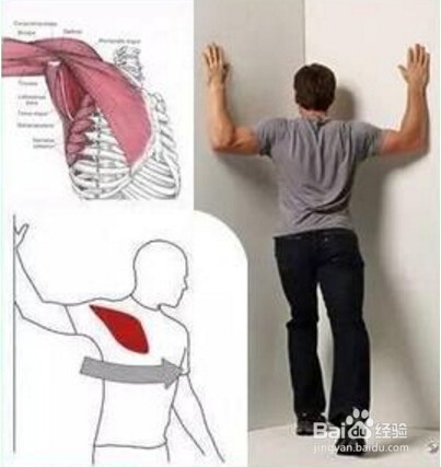 如何改善胸椎灵活性