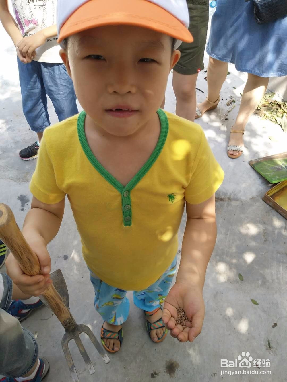 吴军民:教你种菜
