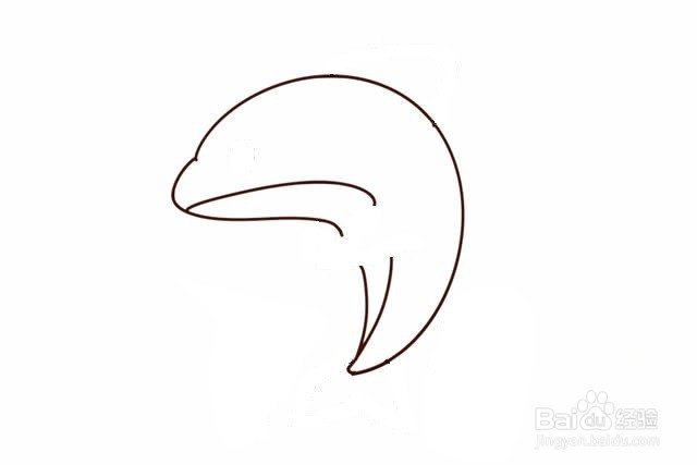 水族类动物简笔画