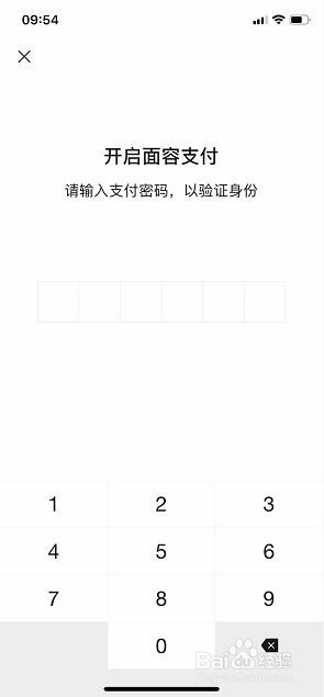 微信怎么开启面容支付