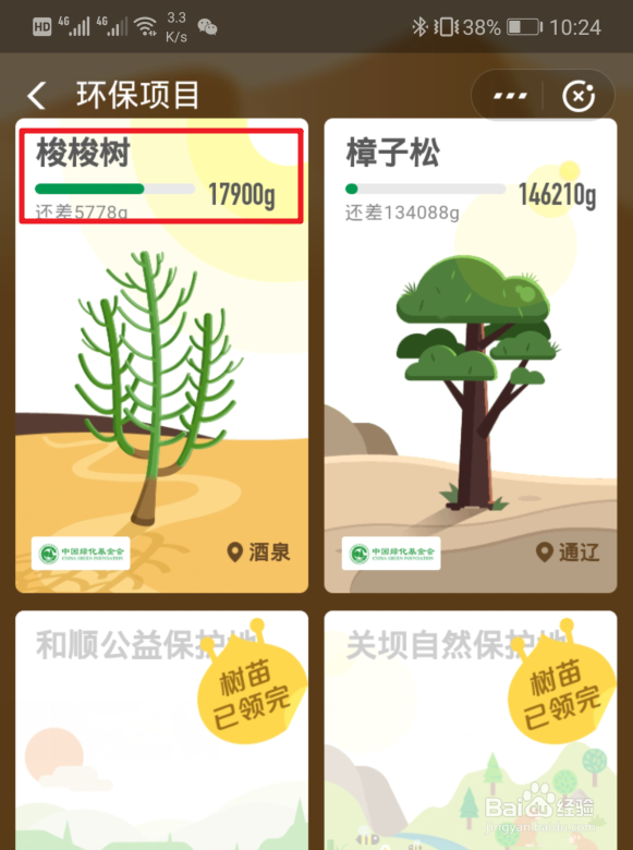 蚂蚁森林里需要能量最多的树种是什么?