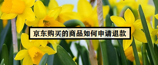 京东购买的商品如何申请退款