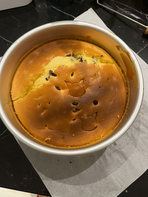 香橙葡萄干戚风蛋糕