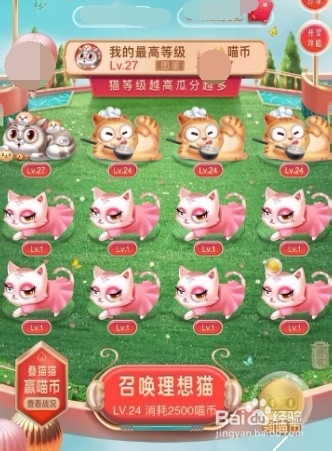 淘宝合猫猫快速升级攻略