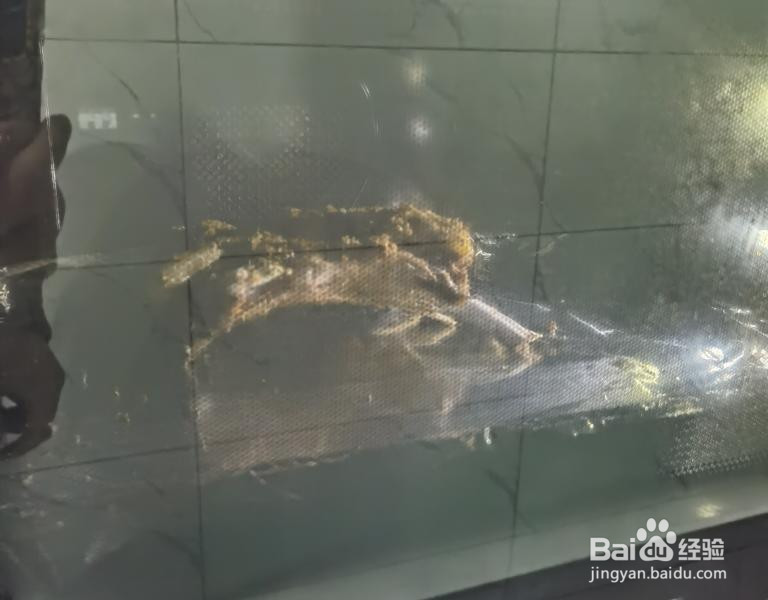 馋死人的烤羊排的做法