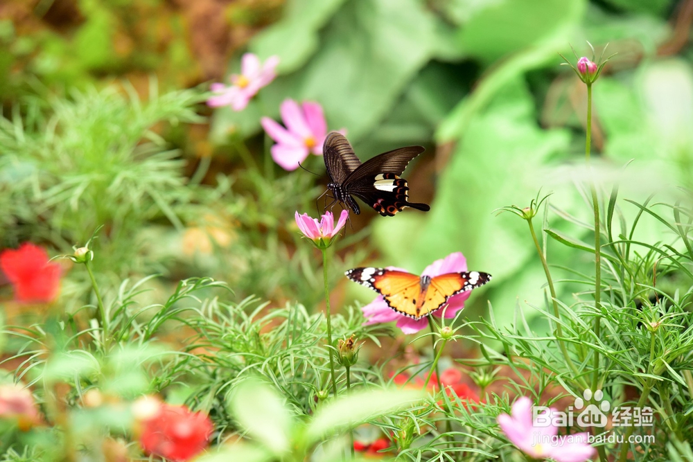 沂蒙经典二日游攻略推荐