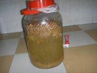 土方法制葡萄酒