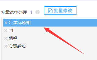 SPSSAU怎样进行中心化处理