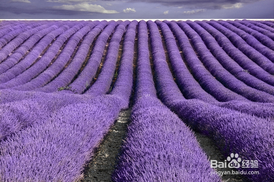 怎样提高睡眠质量
