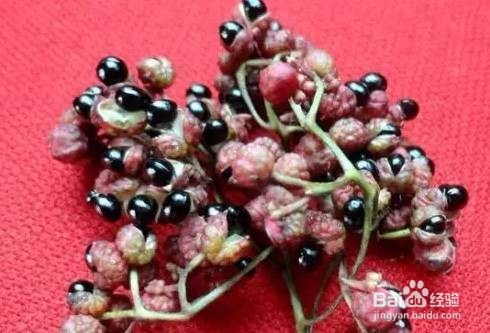 花椒在日常生活中有哪些养生保健作用
