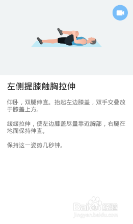 下半身7x4挑战（运动：19）（第一周：第4天）