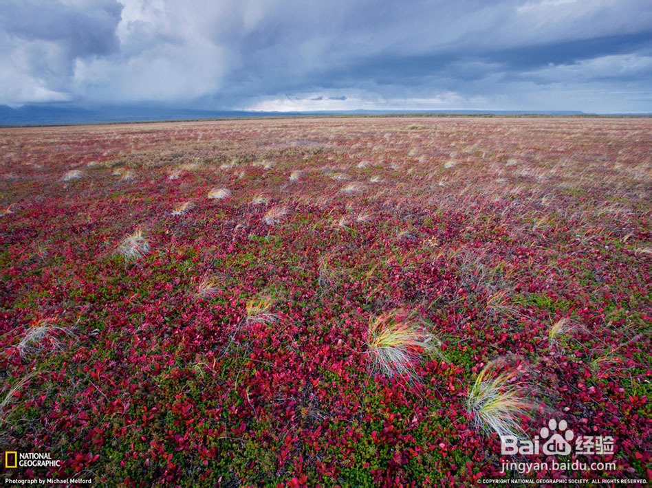 堪察加半岛摄影 如何选择堪察加半岛摄影创作团