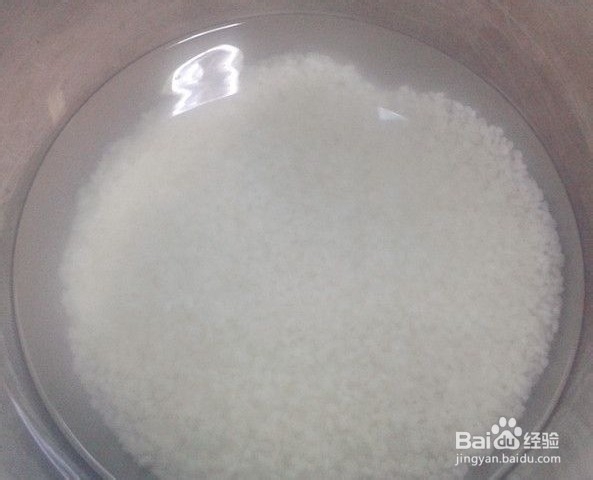 家制——皮蛋瘦肉粥