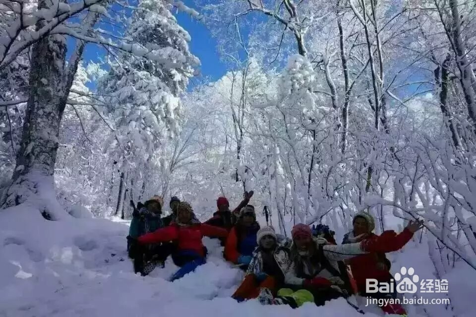 黑龙江东沟原始林景区旅游攻略