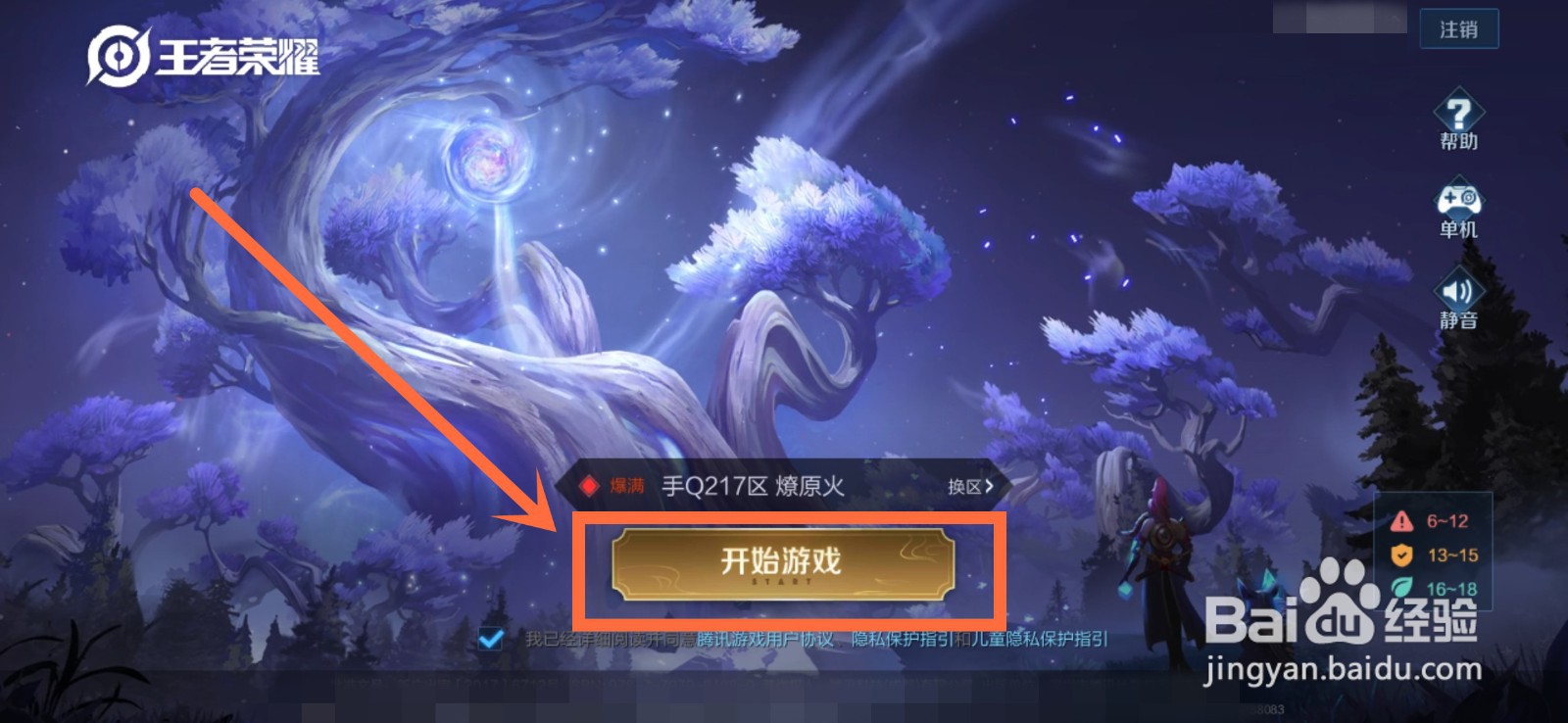 王者荣耀永夜守护