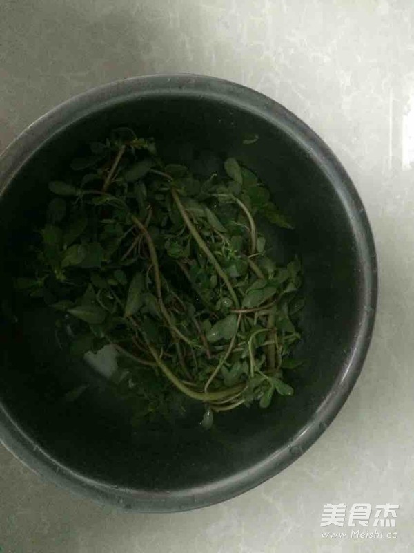 凉拌马齿苋的做法