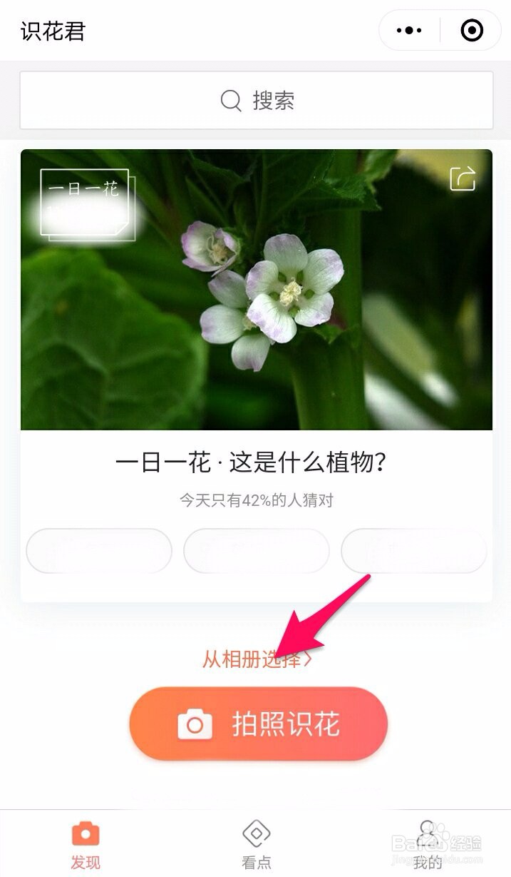 识花君 拍照图片