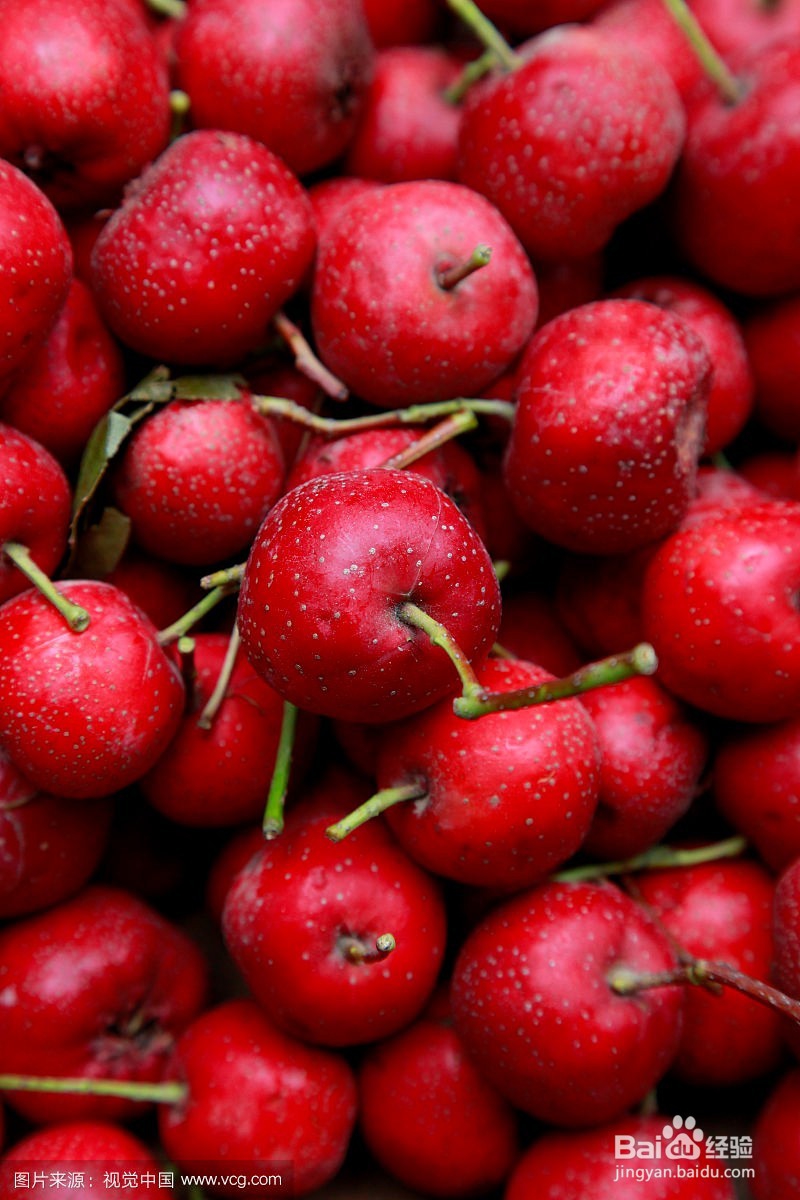 山楂的药用价值