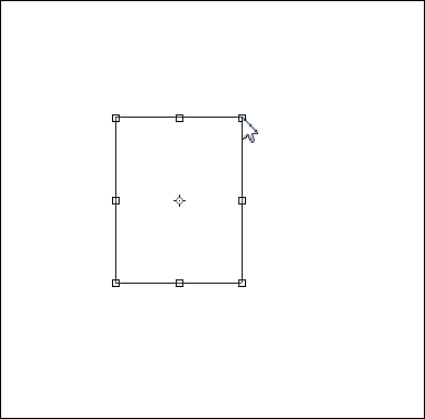 PS变换选区的操作技巧总结