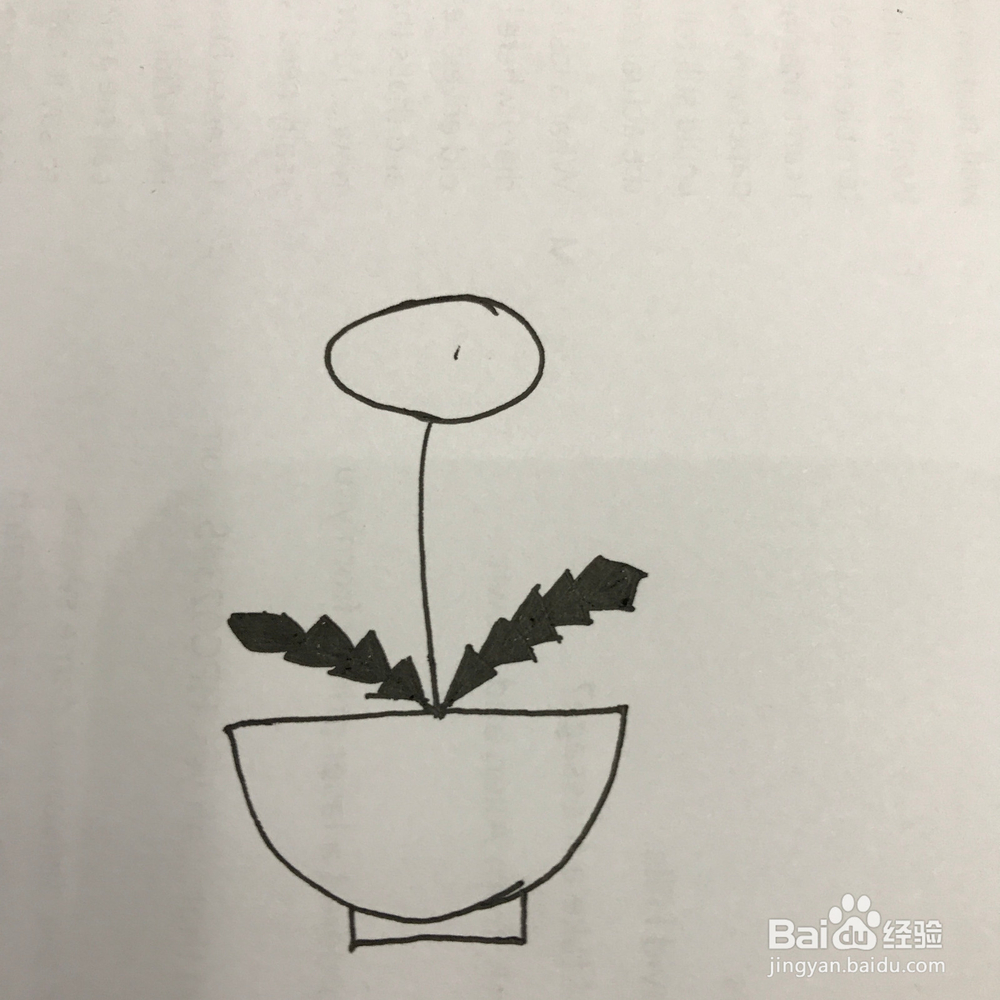 如何画好小清新蒲公英