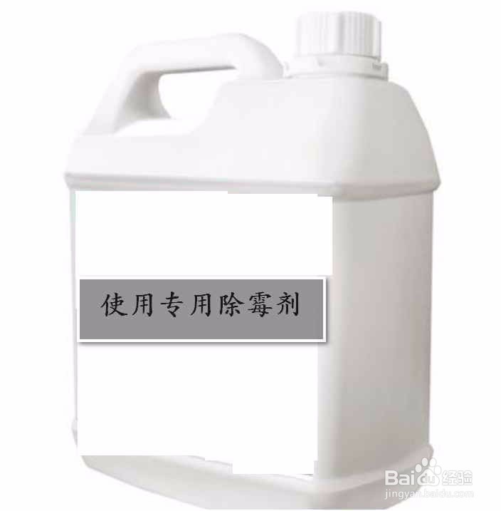 墙壁长霉菌要怎么处理
