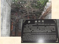 临邛幸福巷有什么好玩的?