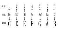 五线谱基础教程,五线谱怎么看