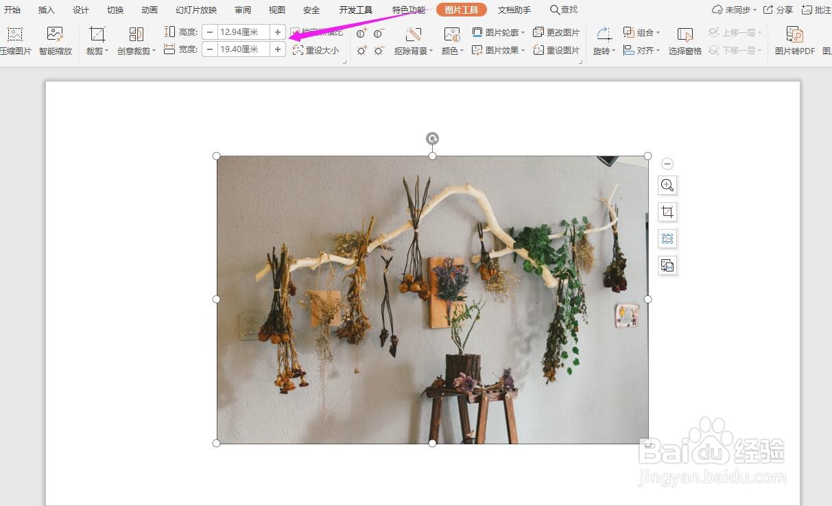 PPT中图片大小如何调整？