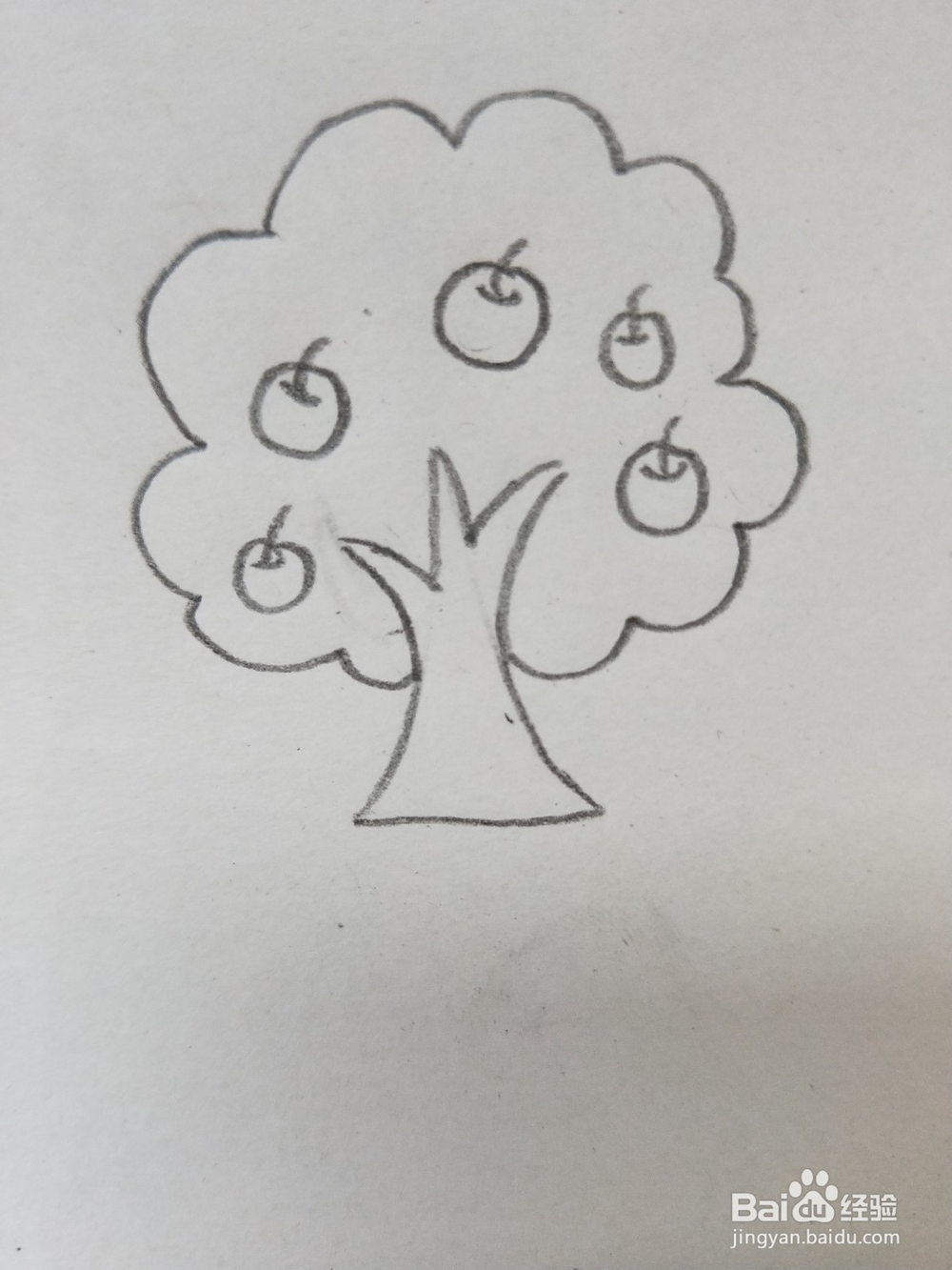 苹果树的简笔画教程