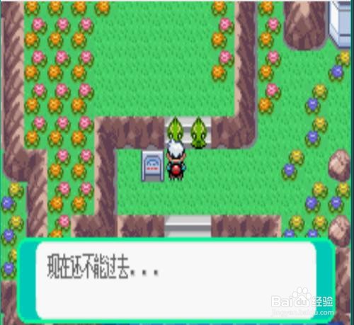 口袋妖怪永恒之焱xyz神兽版攻略