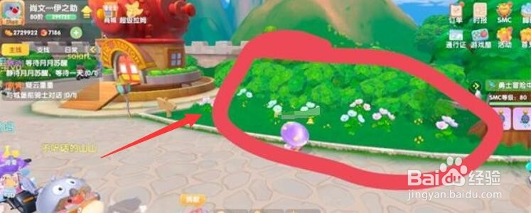 摩尔庄园蝴蝶如何去抓