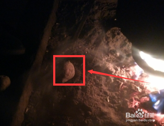 农家地道烤红薯的经典做烤法!