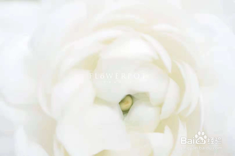 花栖国际花艺花艺的设计秘密