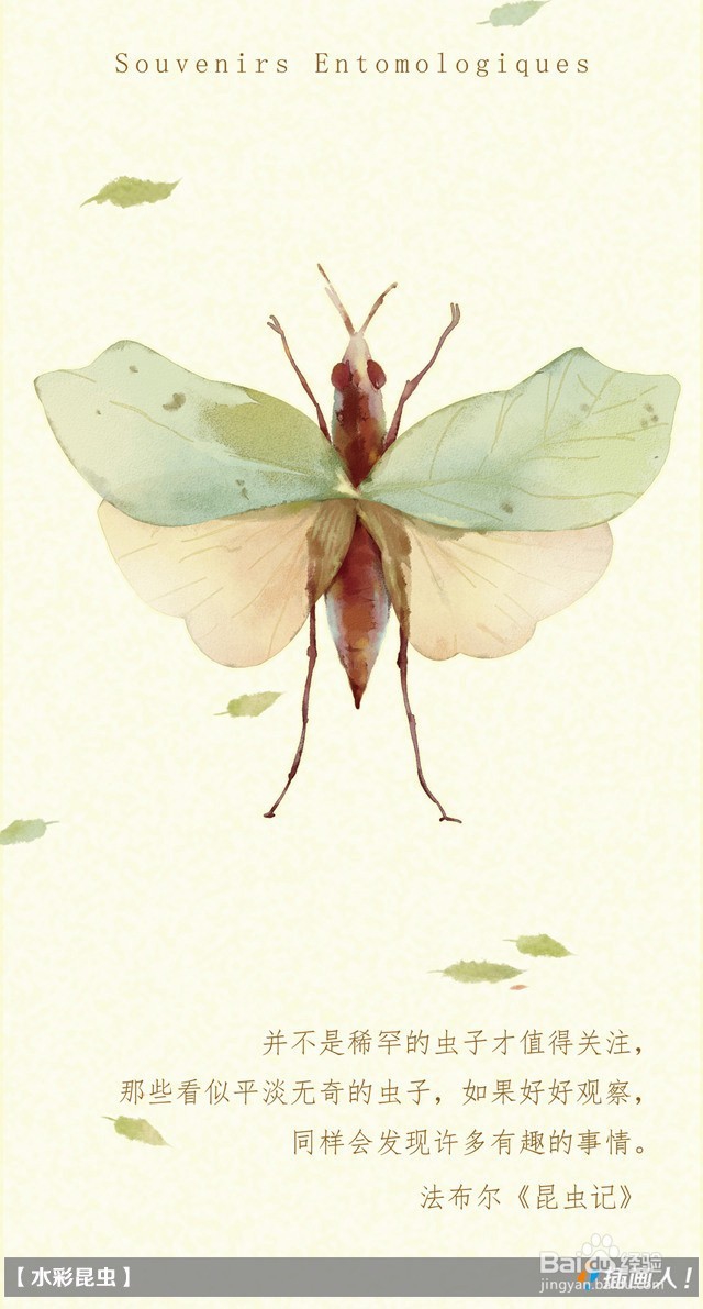 没有基础怎样学习插画