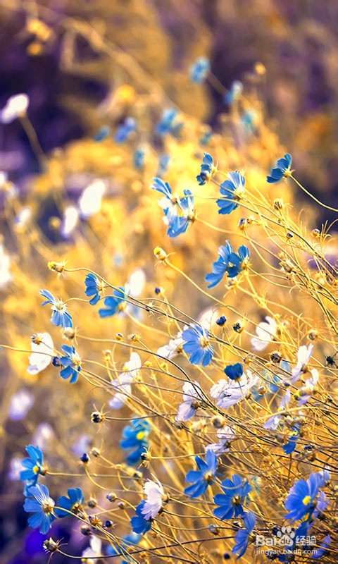 怎样调整自己的心态