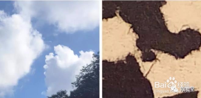 毛笔书法如何入门？