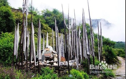 六点相关常识教您挑选合适的旅行社