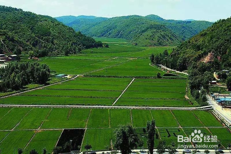 农业用地如何使用