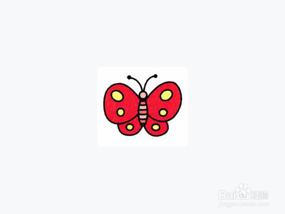 美丽蝴蝶简笔画