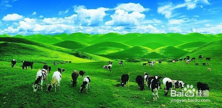 怎么向心仪的人表白,向姑娘表白的技巧。